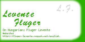 levente fluger business card